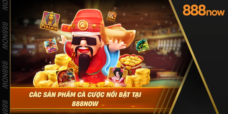 cac-san-pham-ca-cuoc-noi-bat-tai-888now