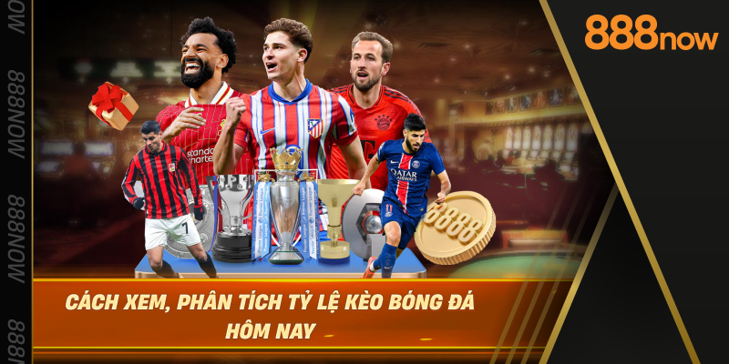 cach-xem-phan-tich-ty-le-keo-bong-da-hom-nay