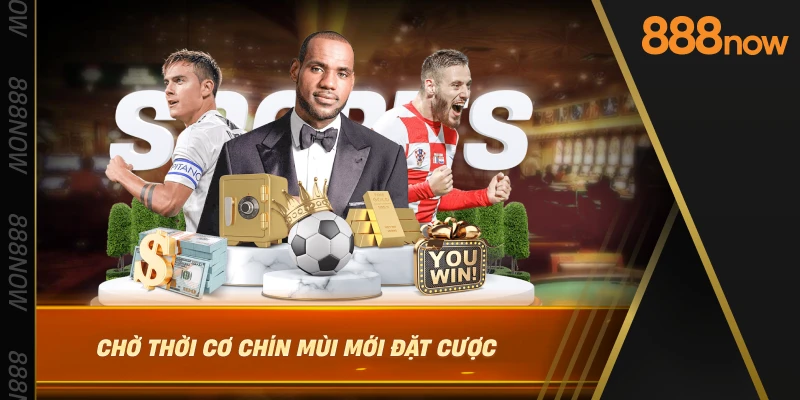 cho-thoi-co-chin-mui-moi-dat-cuoc