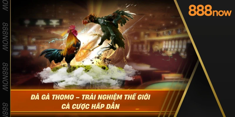 da-ga-thomo-–-trai-nghiem-the-gioi-ca-cuoc-hap-dan