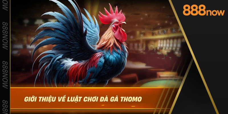 gioi-thieu-ve-luat-choi-da-ga-thomo