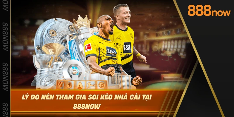 ly-do-nen-tham-gia-soi-keo-nha-cai-tai-888now