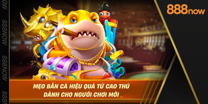 meo-ban-ca-hieu-qua-tu-cao-thu-danh-cho-nguoi-choi-moi