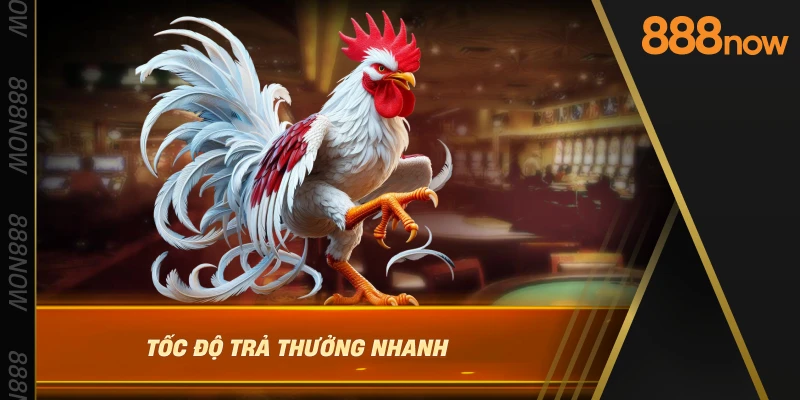 toc-do-tra-thuong-nhanh