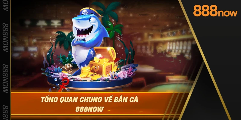 tong-quan-chung-ve-ban-ca-888now